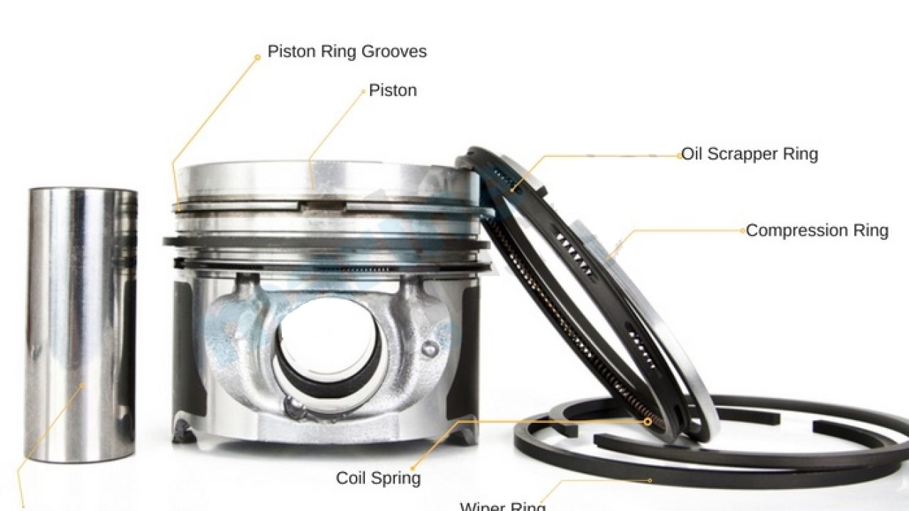 The two kinds of piston rings are